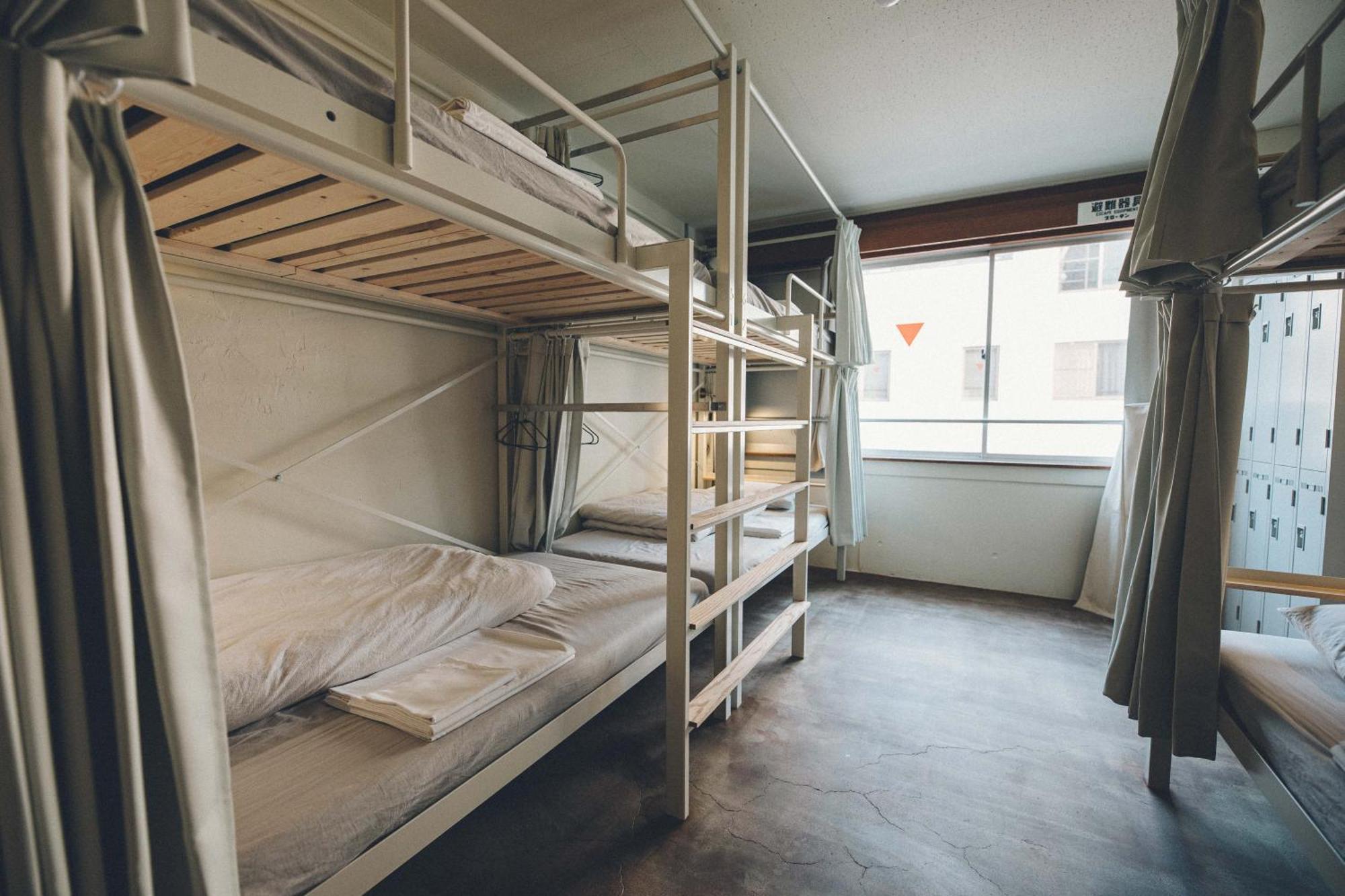 Bunk Bed Mixed Dormitory Room