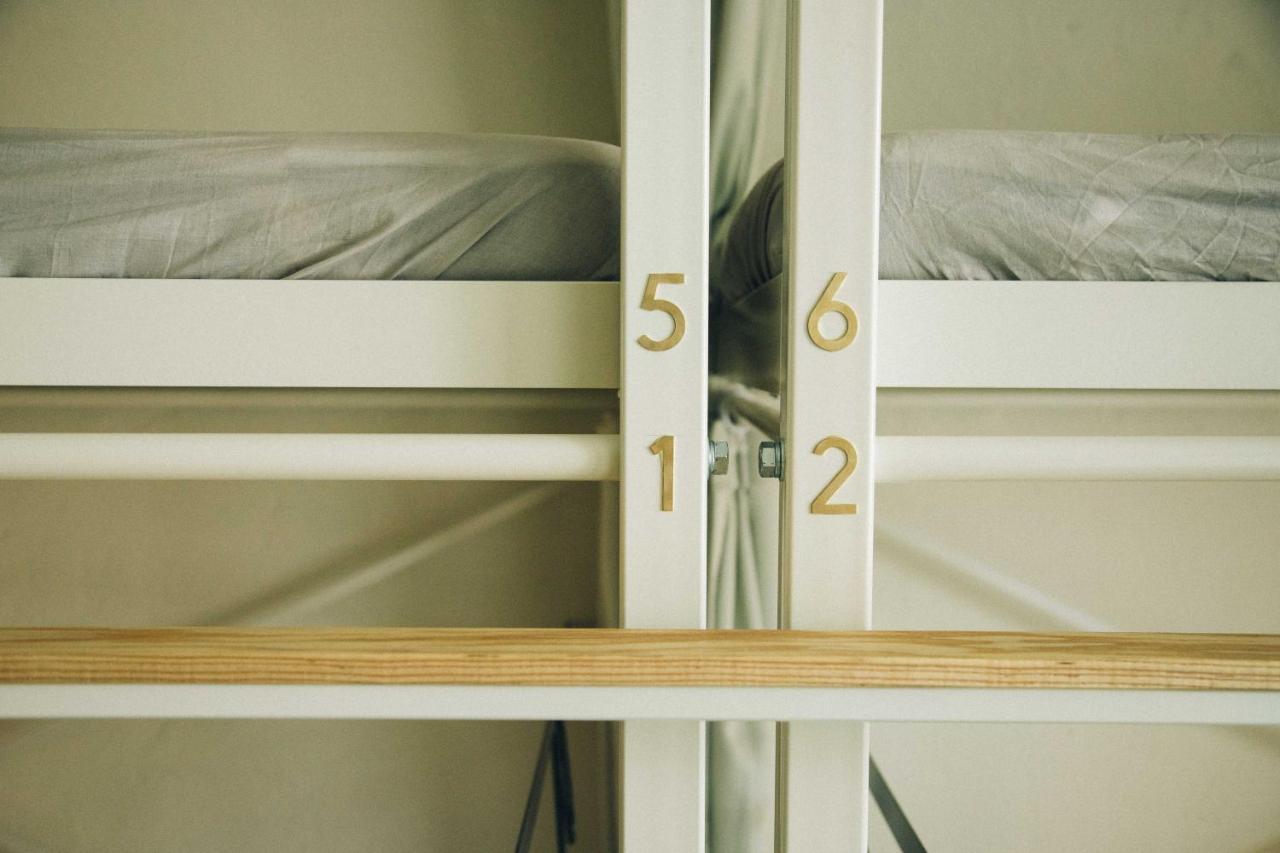 Bunk Bed Mixed Dormitory Room